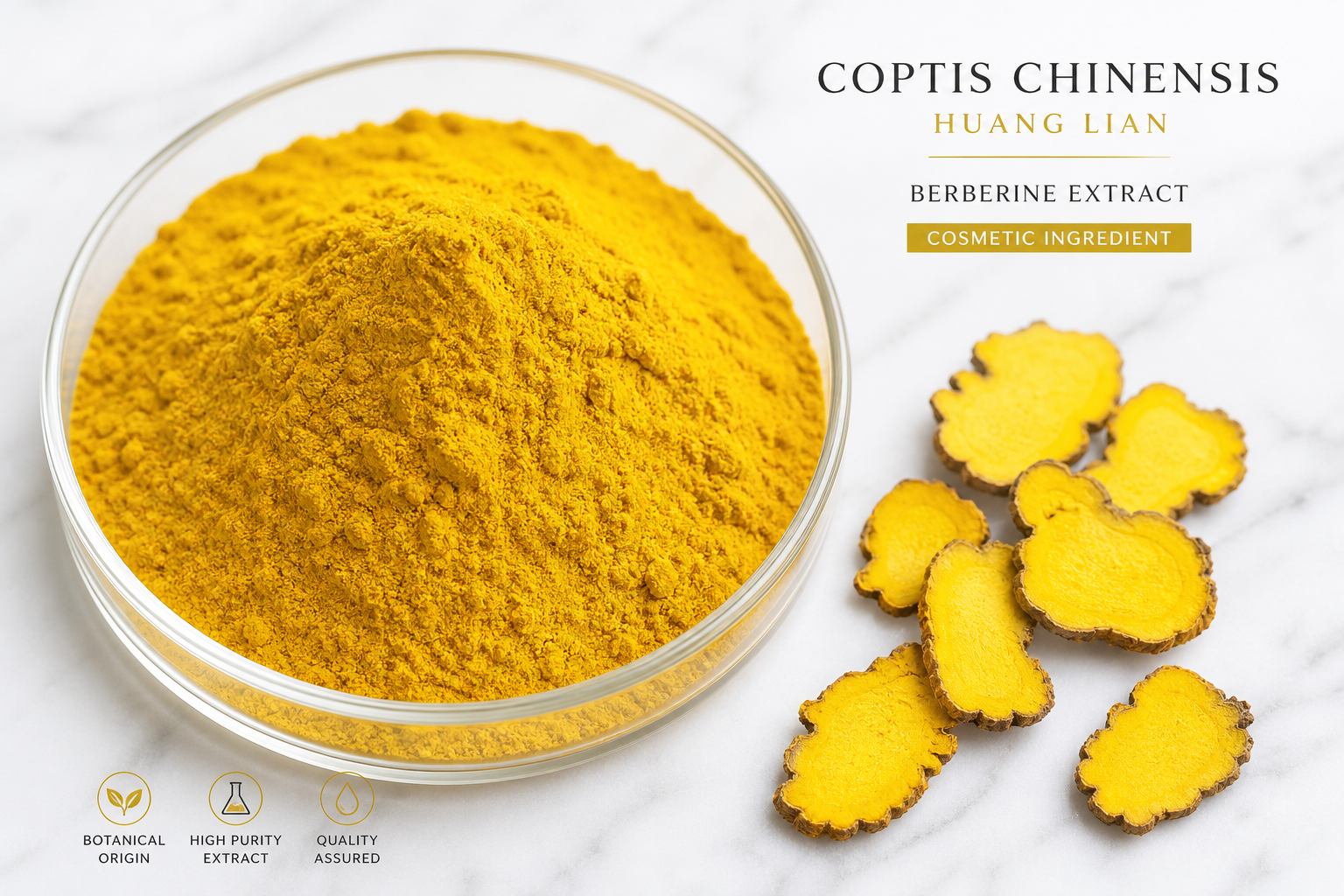 Coptis Chinensis Rhizome Extract (Berberine)