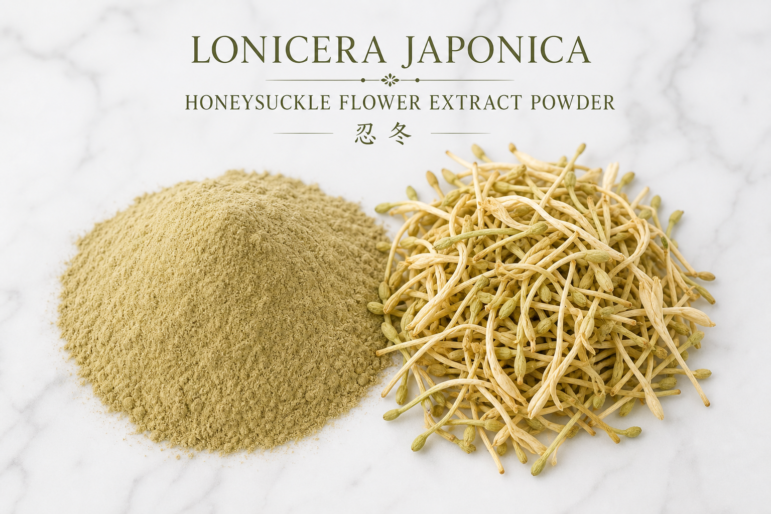 Honeysuckle Flower Extract 10:1 (instant grade)