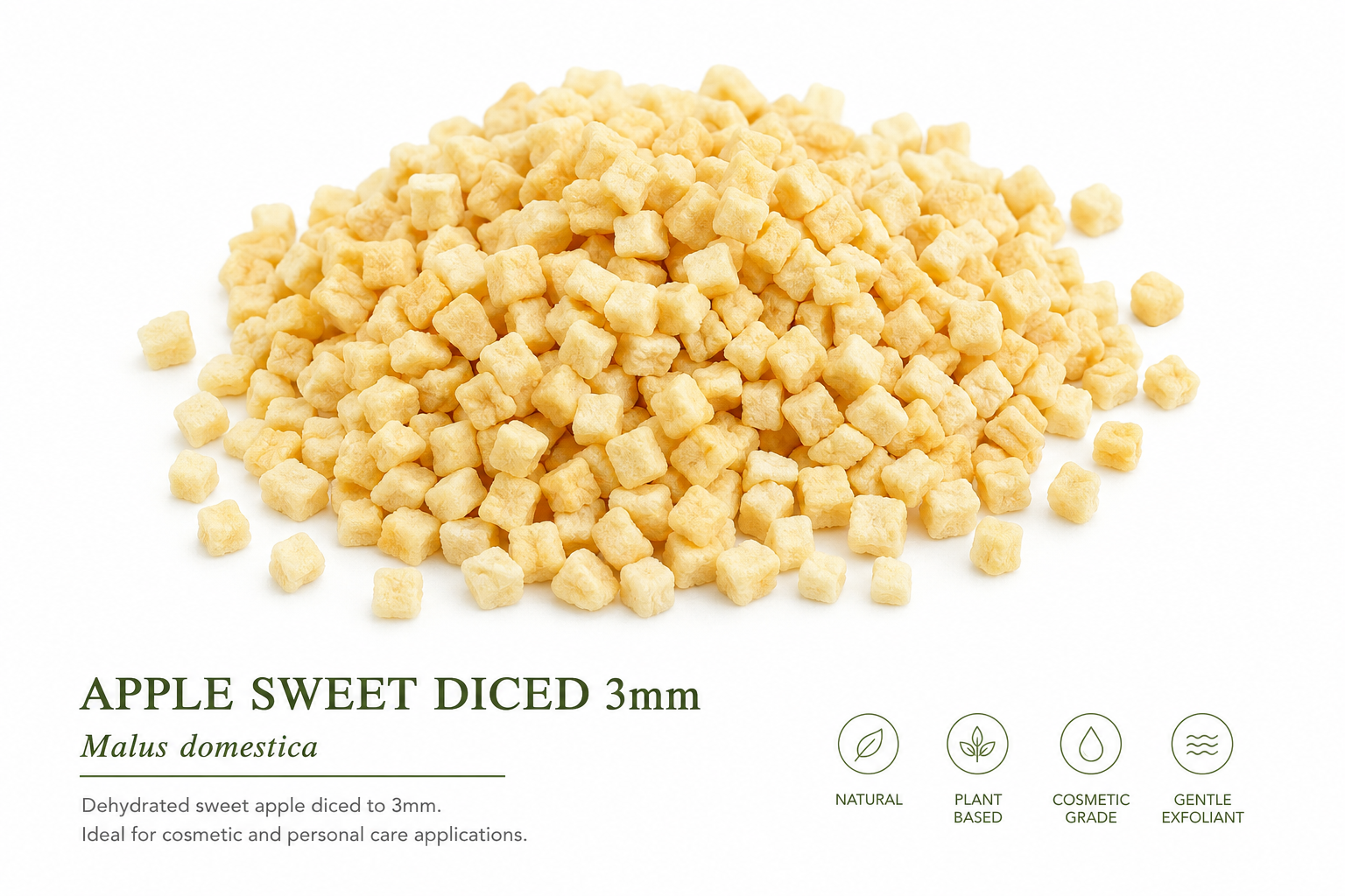 Apple Sweet Cut 3mm Malus domestica BORKH