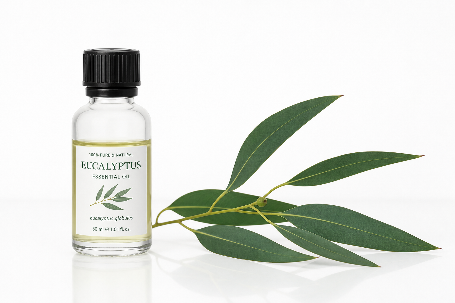 Eucalyptus Oil Eucalyptus globulus