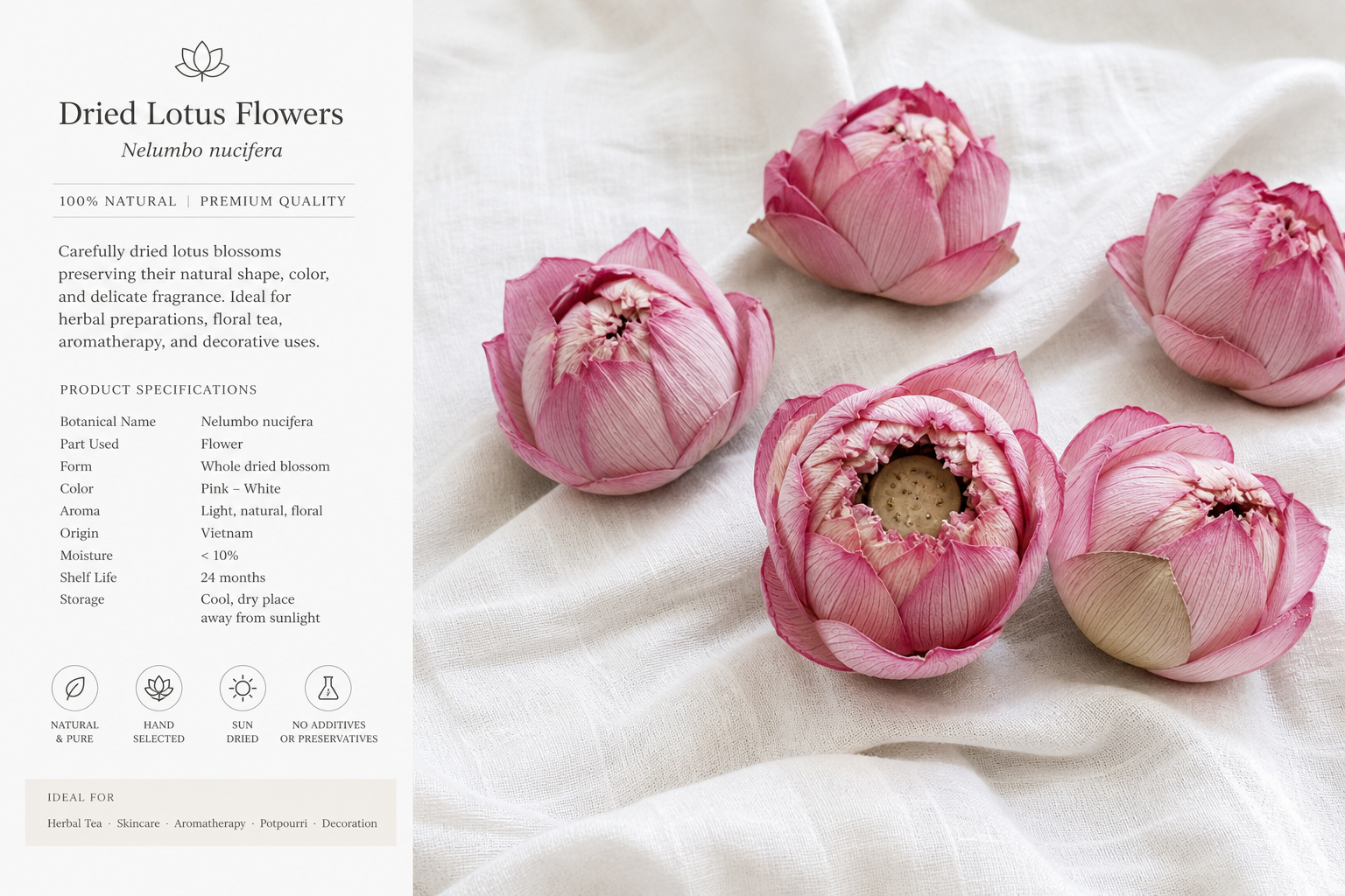 Lotus Flowers Dried Nelumbo nucifera