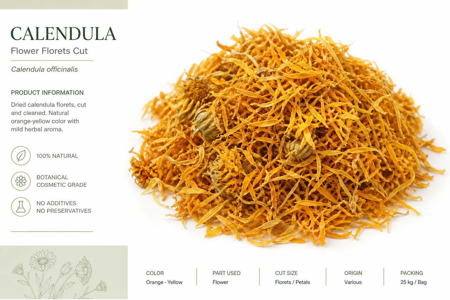 Marigold Flowers Cut Calendula officinalis