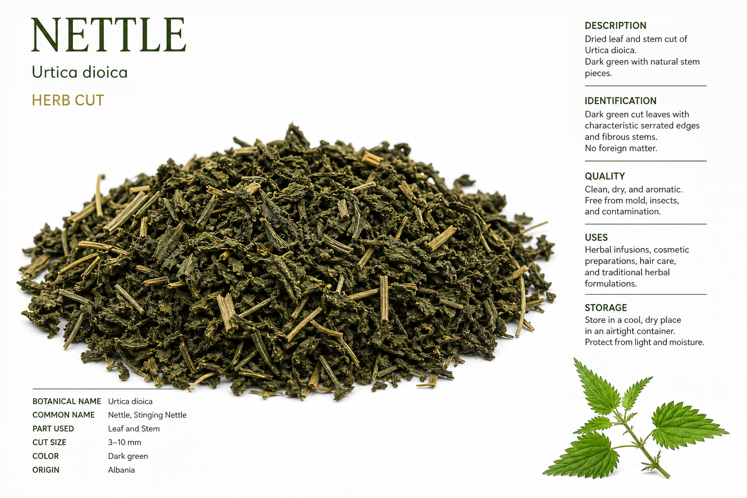 Nettle Herb Cut Urtica dioica