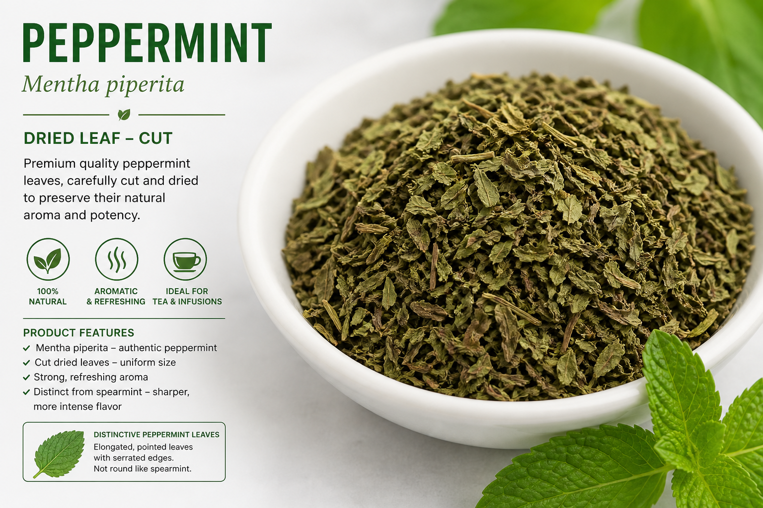 Peppermint Leaves Cut Mentha piperita
