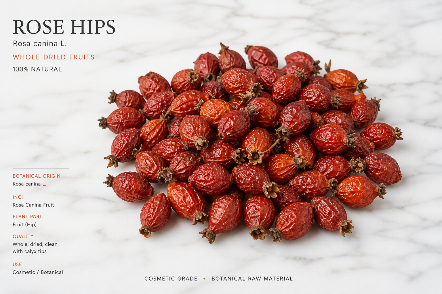 Rose Hips Whole Rosa L spp.