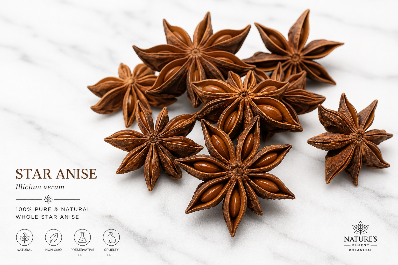 Star Aniseed Whole Illicium verum