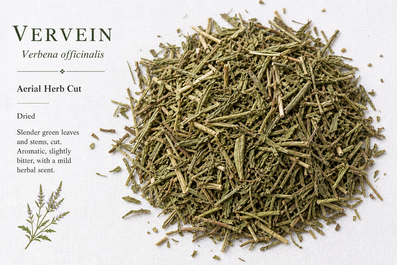 Vervain Herb Cut Verbena officinalis