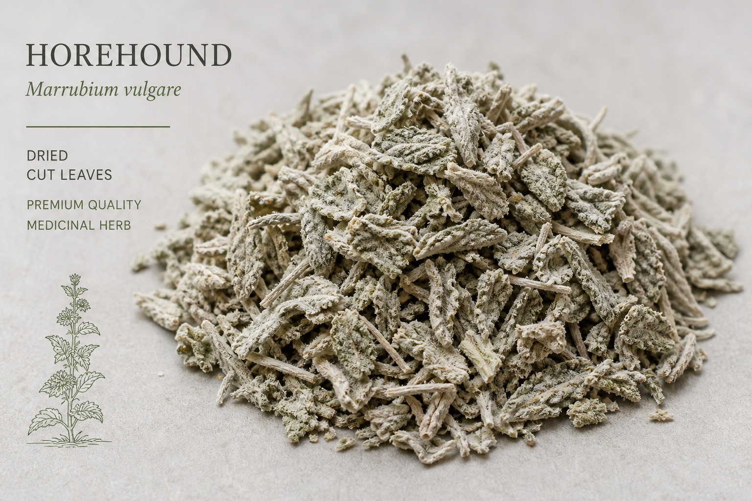 Horehound Herb Cut White Marrubium vulgare