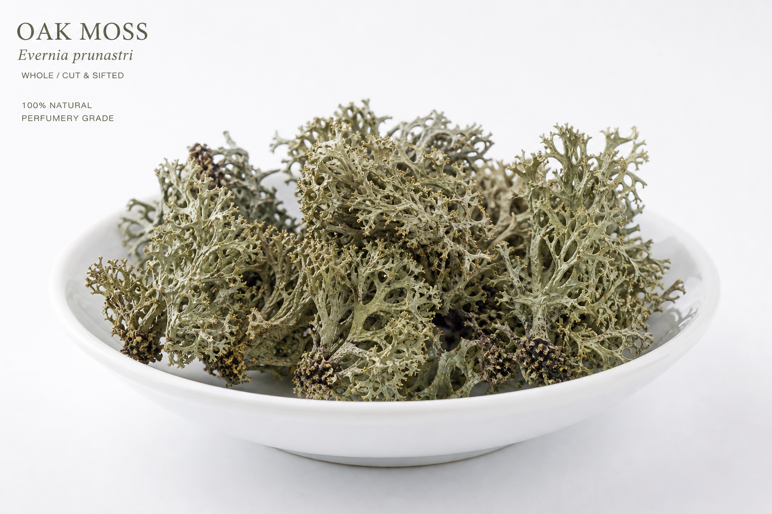 Oak Moss Whole Evernia prunastri