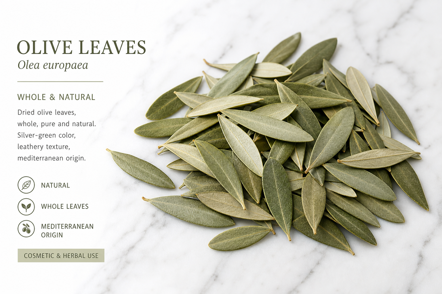 Olive Leaves Whole Olea europea