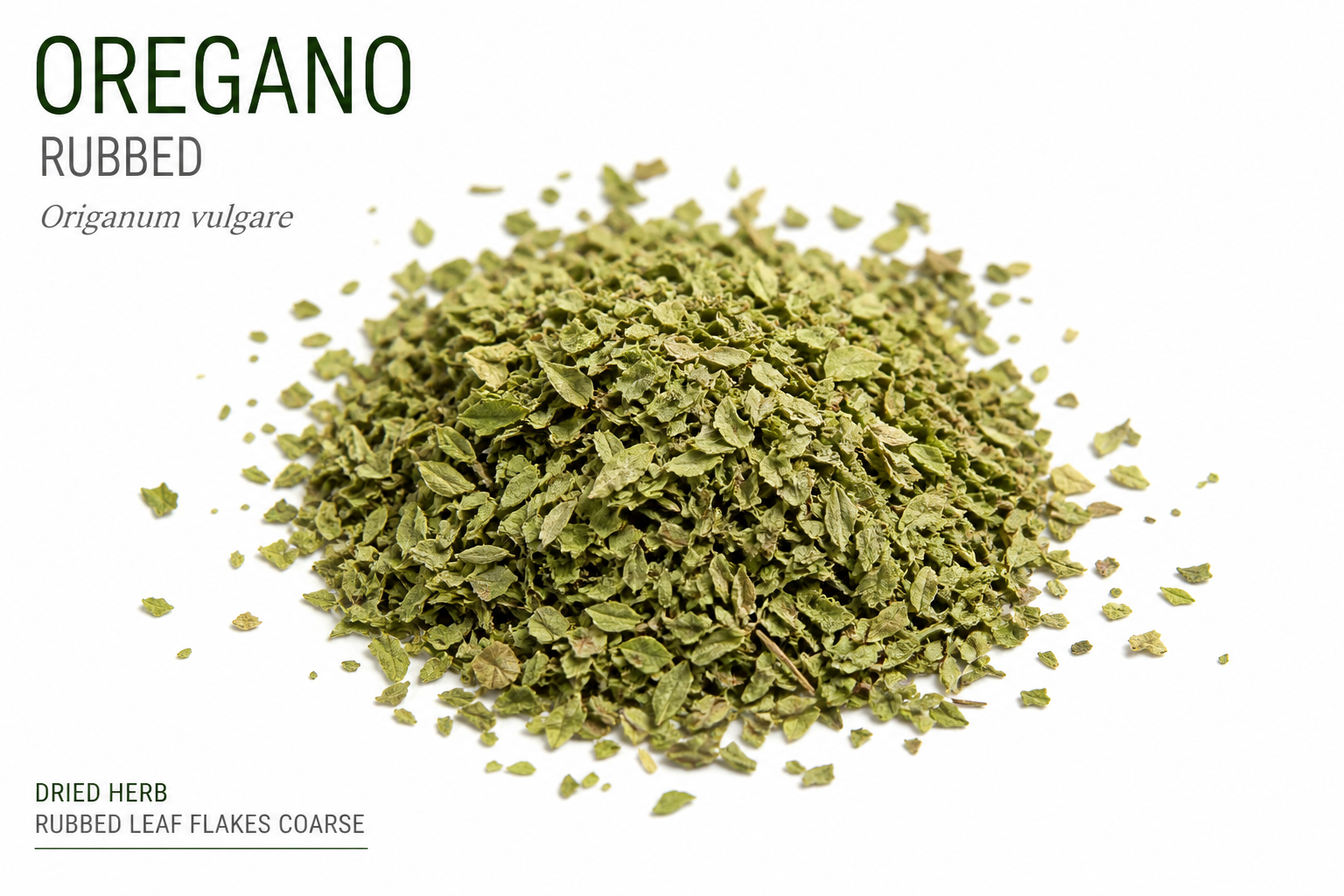 Oregano Rubbed Origanum vulgare