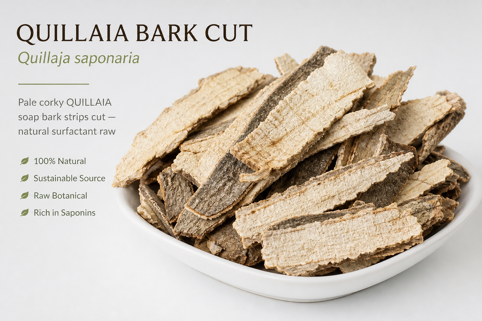 Quillaia Bark Cut Quillaya saponaria