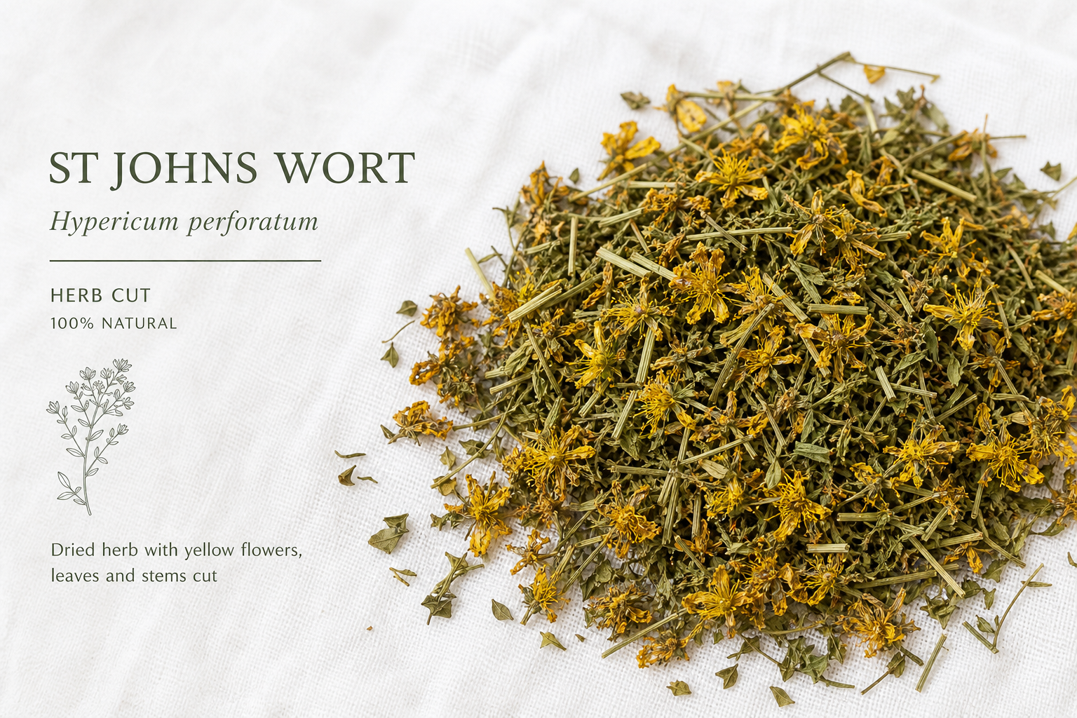 St Johns Wort Herb Cut Hypericum perforatum