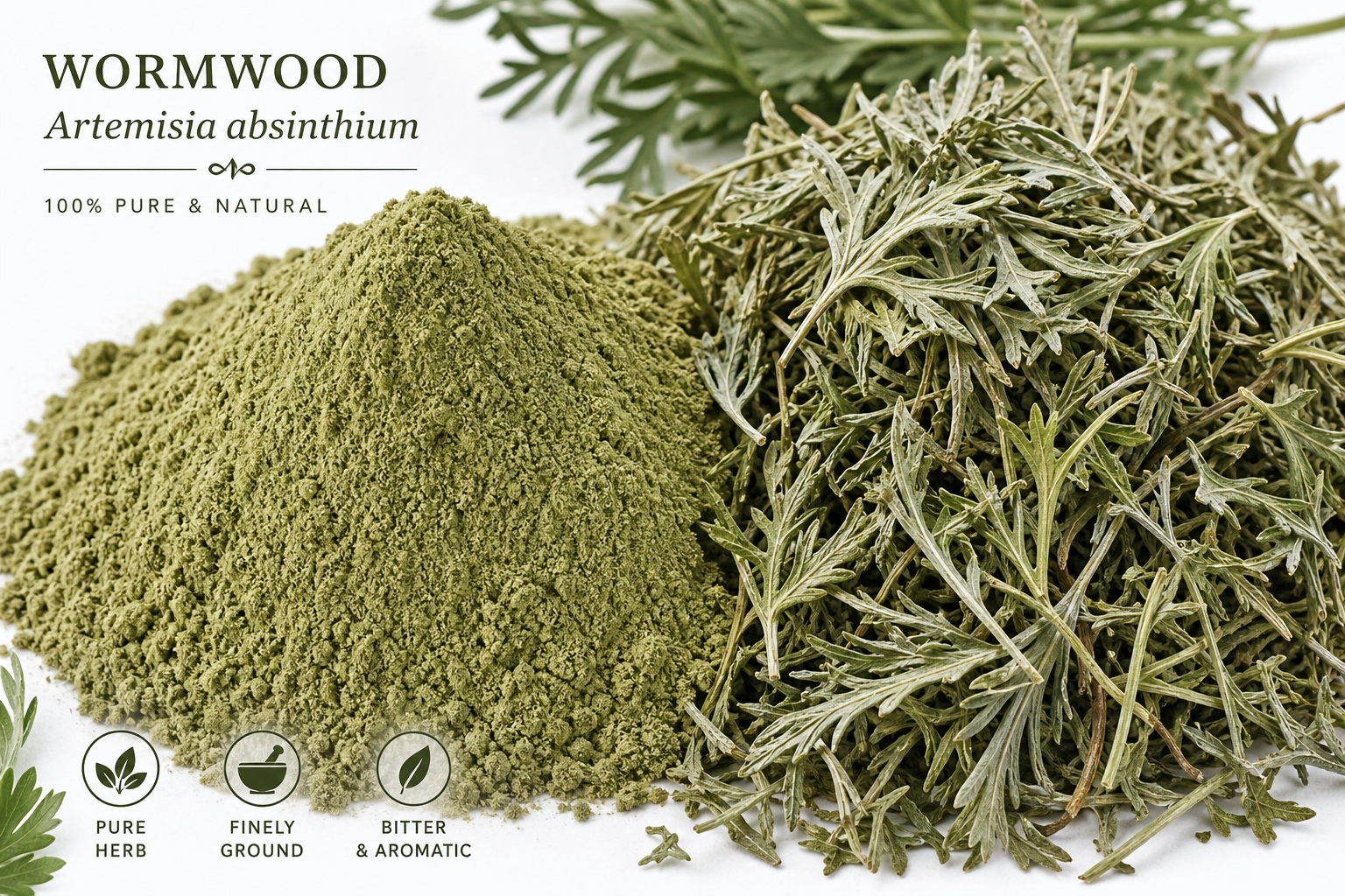 Wormwood Herb Powder Artemesia absinthium